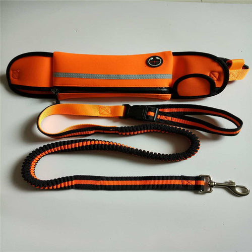 Waterproof Dog Walking Waist Pack with Leash – Hands-Free Convenience!