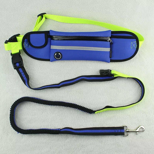 Waterproof Dog Walking Waist Pack with Leash – Hands-Free Convenience!