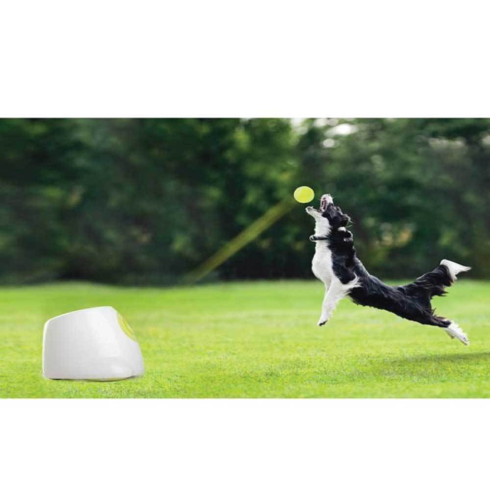 All For Paws Hyper Fetch Maxi – Automatic Dog Ball Launcher