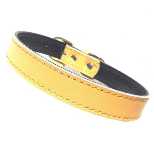 Luxury Faux-Leather Dog Collar – Inspired by London's Bywater Street