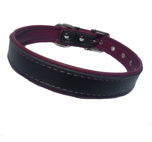 Designer Double-Layer Dog Collar – Black & Purple Berry