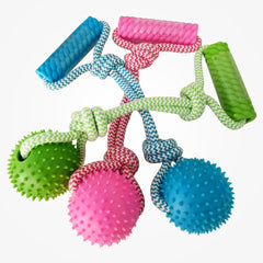 Interactive Pet Chew Toy – Fun & Dental Care in One