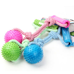 Interactive Pet Chew Toy – Fun & Dental Care in One