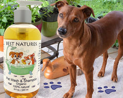 Organic Castile Pet Wash & Shampoo – 100% Natural & Vegan