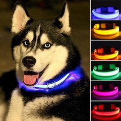 LED Nylon Dog Collar – Safety & Style for Night Walks (2-Piece Set)