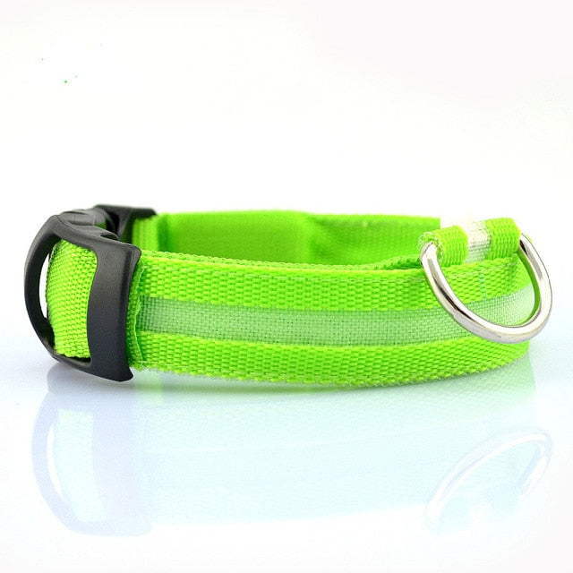 LED Nylon Dog Collar – Safety & Style for Night Walks (2-Piece Set)