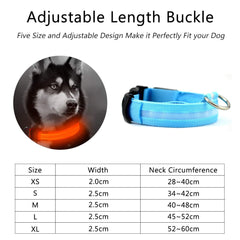 LED Nylon Dog Collar – Safety & Style for Night Walks (2-Piece Set)